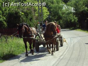 [P02] Căruță pe ulița noastră » foto by Carmen Ion
 - 
<span class="allrVoted glyphicon glyphicon-heart hidden" id="av1195982"></span>
<a class="m-l-10 hidden" id="sv1195982" onclick="voting_Foto_DelVot(,1195982,7539)" role="button">șterge vot <span class="glyphicon glyphicon-remove"></span></a>
<a id="v91195982" class=" c-red"  onclick="voting_Foto_SetVot(1195982)" role="button"><span class="glyphicon glyphicon-heart-empty"></span> <b>LIKE</b> = Votează poza</a> <img class="hidden"  id="f1195982W9" src="/imagini/loader.gif" border="0" /><span class="AjErrMes hidden" id="e1195982ErM"></span>