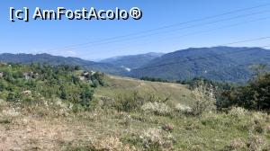 [P47] Vedere panoramică - în depărtare se zărește Lacul Paltinu » foto by Carmen Ion
 - 
<span class="allrVoted glyphicon glyphicon-heart hidden" id="av1196027"></span>
<a class="m-l-10 hidden" id="sv1196027" onclick="voting_Foto_DelVot(,1196027,7539)" role="button">șterge vot <span class="glyphicon glyphicon-remove"></span></a>
<a id="v91196027" class=" c-red"  onclick="voting_Foto_SetVot(1196027)" role="button"><span class="glyphicon glyphicon-heart-empty"></span> <b>LIKE</b> = Votează poza</a> <img class="hidden"  id="f1196027W9" src="/imagini/loader.gif" border="0" /><span class="AjErrMes hidden" id="e1196027ErM"></span>