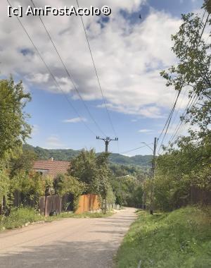 [P05] Provița de Jos - pe ulița mea » foto by Carmen Ion
 - 
<span class="allrVoted glyphicon glyphicon-heart hidden" id="av1195985"></span>
<a class="m-l-10 hidden" id="sv1195985" onclick="voting_Foto_DelVot(,1195985,7539)" role="button">șterge vot <span class="glyphicon glyphicon-remove"></span></a>
<a id="v91195985" class=" c-red"  onclick="voting_Foto_SetVot(1195985)" role="button"><span class="glyphicon glyphicon-heart-empty"></span> <b>LIKE</b> = Votează poza</a> <img class="hidden"  id="f1195985W9" src="/imagini/loader.gif" border="0" /><span class="AjErrMes hidden" id="e1195985ErM"></span>