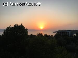 [P19] Iată-l, Dogorelul ! » foto by Yersinia Pestis
 - 
<span class="allrVoted glyphicon glyphicon-heart hidden" id="av1244613"></span>
<a class="m-l-10 hidden" id="sv1244613" onclick="voting_Foto_DelVot(,1244613,7556)" role="button">șterge vot <span class="glyphicon glyphicon-remove"></span></a>
<a id="v91244613" class=" c-red"  onclick="voting_Foto_SetVot(1244613)" role="button"><span class="glyphicon glyphicon-heart-empty"></span> <b>LIKE</b> = Votează poza</a> <img class="hidden"  id="f1244613W9" src="/imagini/loader.gif" border="0" /><span class="AjErrMes hidden" id="e1244613ErM"></span>