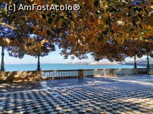[P11] Jardines Clara Campoamor » foto by Marius 72
 - 
<span class="allrVoted glyphicon glyphicon-heart hidden" id="av1283955"></span>
<a class="m-l-10 hidden" id="sv1283955" onclick="voting_Foto_DelVot(,1283955,7560)" role="button">șterge vot <span class="glyphicon glyphicon-remove"></span></a>
<a id="v91283955" class=" c-red"  onclick="voting_Foto_SetVot(1283955)" role="button"><span class="glyphicon glyphicon-heart-empty"></span> <b>LIKE</b> = Votează poza</a> <img class="hidden"  id="f1283955W9" src="/imagini/loader.gif" border="0" /><span class="AjErrMes hidden" id="e1283955ErM"></span>