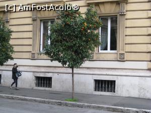 [P14]  -- <small>// FĂRĂ DESCRIERE</small> » foto by gogasorinel
 - 
<span class="allrVoted glyphicon glyphicon-heart hidden" id="av932554"></span>
<a class="m-l-10 hidden" id="sv932554" onclick="voting_Foto_DelVot(,932554,7566)" role="button">șterge vot <span class="glyphicon glyphicon-remove"></span></a>
<a id="v9932554" class=" c-red"  onclick="voting_Foto_SetVot(932554)" role="button"><span class="glyphicon glyphicon-heart-empty"></span> <b>LIKE</b> = Votează poza</a> <img class="hidden"  id="f932554W9" src="/imagini/loader.gif" border="0" /><span class="AjErrMes hidden" id="e932554ErM"></span>