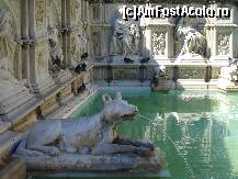 [P25] Siena - in  Piazza del Campo, Fonte Gaia cu bazoreliefuri si statui » foto by Diaura*
 - 
<span class="allrVoted glyphicon glyphicon-heart hidden" id="av141272"></span>
<a class="m-l-10 hidden" id="sv141272" onclick="voting_Foto_DelVot(,141272,7576)" role="button">șterge vot <span class="glyphicon glyphicon-remove"></span></a>
<a id="v9141272" class=" c-red"  onclick="voting_Foto_SetVot(141272)" role="button"><span class="glyphicon glyphicon-heart-empty"></span> <b>LIKE</b> = Votează poza</a> <img class="hidden"  id="f141272W9" src="/imagini/loader.gif" border="0" /><span class="AjErrMes hidden" id="e141272ErM"></span>