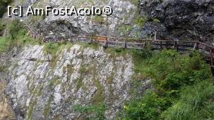 [P19] Trepte de lemn la cea mai mare înălţime a traseului de la Wolfsklamm, Tirolul de Est, Austria.  » foto by traian.leuca †
 - 
<span class="allrVoted glyphicon glyphicon-heart hidden" id="av1048889"></span>
<a class="m-l-10 hidden" id="sv1048889" onclick="voting_Foto_DelVot(,1048889,7577)" role="button">șterge vot <span class="glyphicon glyphicon-remove"></span></a>
<a id="v91048889" class=" c-red"  onclick="voting_Foto_SetVot(1048889)" role="button"><span class="glyphicon glyphicon-heart-empty"></span> <b>LIKE</b> = Votează poza</a> <img class="hidden"  id="f1048889W9" src="/imagini/loader.gif" border="0" /><span class="AjErrMes hidden" id="e1048889ErM"></span>