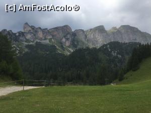 [P50] Achensee - Cu asa un peisaj sa tot umbli » foto by mishu
 - 
<span class="allrVoted glyphicon glyphicon-heart hidden" id="av1000439"></span>
<a class="m-l-10 hidden" id="sv1000439" onclick="voting_Foto_DelVot(,1000439,7577)" role="button">șterge vot <span class="glyphicon glyphicon-remove"></span></a>
<a id="v91000439" class=" c-red"  onclick="voting_Foto_SetVot(1000439)" role="button"><span class="glyphicon glyphicon-heart-empty"></span> <b>LIKE</b> = Votează poza</a> <img class="hidden"  id="f1000439W9" src="/imagini/loader.gif" border="0" /><span class="AjErrMes hidden" id="e1000439ErM"></span>
