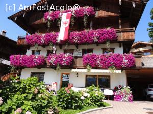 [P17] Alpbach » foto by claudiu 71
 - 
<span class="allrVoted glyphicon glyphicon-heart hidden" id="av707565"></span>
<a class="m-l-10 hidden" id="sv707565" onclick="voting_Foto_DelVot(,707565,7577)" role="button">șterge vot <span class="glyphicon glyphicon-remove"></span></a>
<a id="v9707565" class=" c-red"  onclick="voting_Foto_SetVot(707565)" role="button"><span class="glyphicon glyphicon-heart-empty"></span> <b>LIKE</b> = Votează poza</a> <img class="hidden"  id="f707565W9" src="/imagini/loader.gif" border="0" /><span class="AjErrMes hidden" id="e707565ErM"></span>
