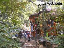 [P01] Aventura Parc - podul buştenilor » foto by Dragoș_MD
 - 
<span class="allrVoted glyphicon glyphicon-heart hidden" id="av142108"></span>
<a class="m-l-10 hidden" id="sv142108" onclick="voting_Foto_DelVot(,142108,7581)" role="button">șterge vot <span class="glyphicon glyphicon-remove"></span></a>
<a id="v9142108" class=" c-red"  onclick="voting_Foto_SetVot(142108)" role="button"><span class="glyphicon glyphicon-heart-empty"></span> <b>LIKE</b> = Votează poza</a> <img class="hidden"  id="f142108W9" src="/imagini/loader.gif" border="0" /><span class="AjErrMes hidden" id="e142108ErM"></span>
