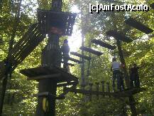 [P17] Aventura Parc - punţi, cabluri, platforme, butoaie... » foto by Dragoș_MD
 - 
<span class="allrVoted glyphicon glyphicon-heart hidden" id="av142113"></span>
<a class="m-l-10 hidden" id="sv142113" onclick="voting_Foto_DelVot(,142113,7581)" role="button">șterge vot <span class="glyphicon glyphicon-remove"></span></a>
<a id="v9142113" class=" c-red"  onclick="voting_Foto_SetVot(142113)" role="button"><span class="glyphicon glyphicon-heart-empty"></span> <b>LIKE</b> = Votează poza</a> <img class="hidden"  id="f142113W9" src="/imagini/loader.gif" border="0" /><span class="AjErrMes hidden" id="e142113ErM"></span>