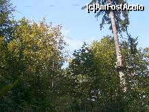 [P19] Aventura Parc - traseul roşu » foto by Dragoș_MD
 - 
<span class="allrVoted glyphicon glyphicon-heart hidden" id="av142118"></span>
<a class="m-l-10 hidden" id="sv142118" onclick="voting_Foto_DelVot(,142118,7581)" role="button">șterge vot <span class="glyphicon glyphicon-remove"></span></a>
<a id="v9142118" class=" c-red"  onclick="voting_Foto_SetVot(142118)" role="button"><span class="glyphicon glyphicon-heart-empty"></span> <b>LIKE</b> = Votează poza</a> <img class="hidden"  id="f142118W9" src="/imagini/loader.gif" border="0" /><span class="AjErrMes hidden" id="e142118ErM"></span>