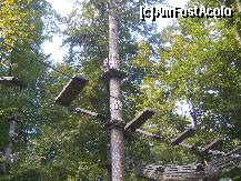 [P20] Aventura Parc - traseul roşu » foto by Dragoș_MD
 - 
<span class="allrVoted glyphicon glyphicon-heart hidden" id="av142120"></span>
<a class="m-l-10 hidden" id="sv142120" onclick="voting_Foto_DelVot(,142120,7581)" role="button">șterge vot <span class="glyphicon glyphicon-remove"></span></a>
<a id="v9142120" class=" c-red"  onclick="voting_Foto_SetVot(142120)" role="button"><span class="glyphicon glyphicon-heart-empty"></span> <b>LIKE</b> = Votează poza</a> <img class="hidden"  id="f142120W9" src="/imagini/loader.gif" border="0" /><span class="AjErrMes hidden" id="e142120ErM"></span>