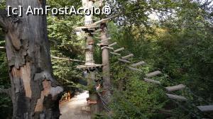 [P04] Parc Aventura-Brasov - traseu » foto by mishu
 - 
<span class="allrVoted glyphicon glyphicon-heart hidden" id="av718449"></span>
<a class="m-l-10 hidden" id="sv718449" onclick="voting_Foto_DelVot(,718449,7581)" role="button">șterge vot <span class="glyphicon glyphicon-remove"></span></a>
<a id="v9718449" class=" c-red"  onclick="voting_Foto_SetVot(718449)" role="button"><span class="glyphicon glyphicon-heart-empty"></span> <b>LIKE</b> = Votează poza</a> <img class="hidden"  id="f718449W9" src="/imagini/loader.gif" border="0" /><span class="AjErrMes hidden" id="e718449ErM"></span>