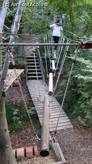 [P09] Parc Aventura-Brasov - traseu » foto by mishu
 - 
<span class="allrVoted glyphicon glyphicon-heart hidden" id="av718454"></span>
<a class="m-l-10 hidden" id="sv718454" onclick="voting_Foto_DelVot(,718454,7581)" role="button">șterge vot <span class="glyphicon glyphicon-remove"></span></a>
<a id="v9718454" class=" c-red"  onclick="voting_Foto_SetVot(718454)" role="button"><span class="glyphicon glyphicon-heart-empty"></span> <b>LIKE</b> = Votează poza</a> <img class="hidden"  id="f718454W9" src="/imagini/loader.gif" border="0" /><span class="AjErrMes hidden" id="e718454ErM"></span>