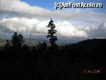 [P13] Din loc in loc avem parte de privelisti minunate asupra vaii » foto by Alina Morar
 - 
<span class="allrVoted glyphicon glyphicon-heart hidden" id="av142549"></span>
<a class="m-l-10 hidden" id="sv142549" onclick="voting_Foto_DelVot(,142549,7596)" role="button">șterge vot <span class="glyphicon glyphicon-remove"></span></a>
<a id="v9142549" class=" c-red"  onclick="voting_Foto_SetVot(142549)" role="button"><span class="glyphicon glyphicon-heart-empty"></span> <b>LIKE</b> = Votează poza</a> <img class="hidden"  id="f142549W9" src="/imagini/loader.gif" border="0" /><span class="AjErrMes hidden" id="e142549ErM"></span>