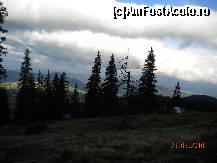 [P21] Si iata ca am ajuns la cota 1400m la Vladeasa » foto by Alina Morar
 - 
<span class="allrVoted glyphicon glyphicon-heart hidden" id="av142557"></span>
<a class="m-l-10 hidden" id="sv142557" onclick="voting_Foto_DelVot(,142557,7596)" role="button">șterge vot <span class="glyphicon glyphicon-remove"></span></a>
<a id="v9142557" class=" c-red"  onclick="voting_Foto_SetVot(142557)" role="button"><span class="glyphicon glyphicon-heart-empty"></span> <b>LIKE</b> = Votează poza</a> <img class="hidden"  id="f142557W9" src="/imagini/loader.gif" border="0" /><span class="AjErrMes hidden" id="e142557ErM"></span>
