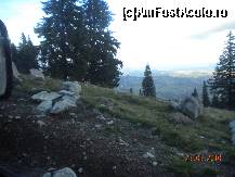 [P40]  -- <small>// FĂRĂ DESCRIERE</small> » foto by Alina Morar
 - 
<span class="allrVoted glyphicon glyphicon-heart hidden" id="av142576"></span>
<a class="m-l-10 hidden" id="sv142576" onclick="voting_Foto_DelVot(,142576,7596)" role="button">șterge vot <span class="glyphicon glyphicon-remove"></span></a>
<a id="v9142576" class=" c-red"  onclick="voting_Foto_SetVot(142576)" role="button"><span class="glyphicon glyphicon-heart-empty"></span> <b>LIKE</b> = Votează poza</a> <img class="hidden"  id="f142576W9" src="/imagini/loader.gif" border="0" /><span class="AjErrMes hidden" id="e142576ErM"></span>