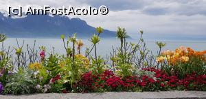 [P02] Lacul Leman la Montreux » foto by Bujie
 - 
<span class="allrVoted glyphicon glyphicon-heart hidden" id="av1070387"></span>
<a class="m-l-10 hidden" id="sv1070387" onclick="voting_Foto_DelVot(,1070387,7614)" role="button">șterge vot <span class="glyphicon glyphicon-remove"></span></a>
<a id="v91070387" class=" c-red"  onclick="voting_Foto_SetVot(1070387)" role="button"><span class="glyphicon glyphicon-heart-empty"></span> <b>LIKE</b> = Votează poza</a> <img class="hidden"  id="f1070387W9" src="/imagini/loader.gif" border="0" /><span class="AjErrMes hidden" id="e1070387ErM"></span>