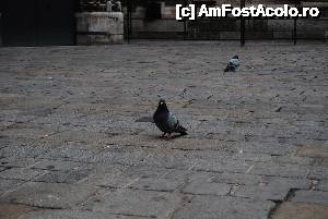 [P18] La pas prin Viena » foto by unq
 - 
<span class="allrVoted glyphicon glyphicon-heart hidden" id="av482318"></span>
<a class="m-l-10 hidden" id="sv482318" onclick="voting_Foto_DelVot(,482318,7615)" role="button">șterge vot <span class="glyphicon glyphicon-remove"></span></a>
<a id="v9482318" class=" c-red"  onclick="voting_Foto_SetVot(482318)" role="button"><span class="glyphicon glyphicon-heart-empty"></span> <b>LIKE</b> = Votează poza</a> <img class="hidden"  id="f482318W9" src="/imagini/loader.gif" border="0" /><span class="AjErrMes hidden" id="e482318ErM"></span>