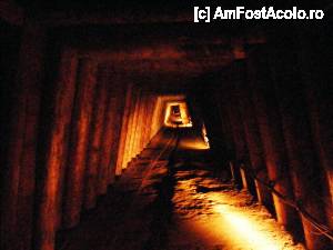 [P14] Salina - culoar » foto by makuy*
 - 
<span class="allrVoted glyphicon glyphicon-heart hidden" id="av437100"></span>
<a class="m-l-10 hidden" id="sv437100" onclick="voting_Foto_DelVot(,437100,7626)" role="button">șterge vot <span class="glyphicon glyphicon-remove"></span></a>
<a id="v9437100" class=" c-red"  onclick="voting_Foto_SetVot(437100)" role="button"><span class="glyphicon glyphicon-heart-empty"></span> <b>LIKE</b> = Votează poza</a> <img class="hidden"  id="f437100W9" src="/imagini/loader.gif" border="0" /><span class="AjErrMes hidden" id="e437100ErM"></span>