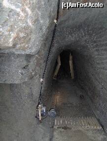 [P11]  -- <small>// FĂRĂ DESCRIERE</small> » foto by irma_ro*
 - 
<span class="allrVoted glyphicon glyphicon-heart hidden" id="av144156"></span>
<a class="m-l-10 hidden" id="sv144156" onclick="voting_Foto_DelVot(,144156,7626)" role="button">șterge vot <span class="glyphicon glyphicon-remove"></span></a>
<a id="v9144156" class=" c-red"  onclick="voting_Foto_SetVot(144156)" role="button"><span class="glyphicon glyphicon-heart-empty"></span> <b>LIKE</b> = Votează poza</a> <img class="hidden"  id="f144156W9" src="/imagini/loader.gif" border="0" /><span class="AjErrMes hidden" id="e144156ErM"></span>