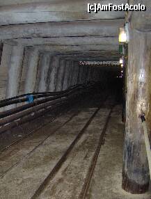 [P18] asteptam trenuletul pentru iesire :) » foto by irma_ro*
 - 
<span class="allrVoted glyphicon glyphicon-heart hidden" id="av144167"></span>
<a class="m-l-10 hidden" id="sv144167" onclick="voting_Foto_DelVot(,144167,7626)" role="button">șterge vot <span class="glyphicon glyphicon-remove"></span></a>
<a id="v9144167" class=" c-red"  onclick="voting_Foto_SetVot(144167)" role="button"><span class="glyphicon glyphicon-heart-empty"></span> <b>LIKE</b> = Votează poza</a> <img class="hidden"  id="f144167W9" src="/imagini/loader.gif" border="0" /><span class="AjErrMes hidden" id="e144167ErM"></span>