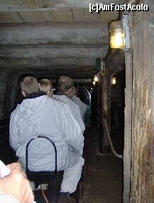 [P21] catre iesire » foto by irma_ro*
 - 
<span class="allrVoted glyphicon glyphicon-heart hidden" id="av144174"></span>
<a class="m-l-10 hidden" id="sv144174" onclick="voting_Foto_DelVot(,144174,7626)" role="button">șterge vot <span class="glyphicon glyphicon-remove"></span></a>
<a id="v9144174" class=" c-red"  onclick="voting_Foto_SetVot(144174)" role="button"><span class="glyphicon glyphicon-heart-empty"></span> <b>LIKE</b> = Votează poza</a> <img class="hidden"  id="f144174W9" src="/imagini/loader.gif" border="0" /><span class="AjErrMes hidden" id="e144174ErM"></span>