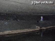 [P09] lacul » foto by irma_ro*
 - 
<span class="allrVoted glyphicon glyphicon-heart hidden" id="av144153"></span>
<a class="m-l-10 hidden" id="sv144153" onclick="voting_Foto_DelVot(,144153,7626)" role="button">șterge vot <span class="glyphicon glyphicon-remove"></span></a>
<a id="v9144153" class=" c-red"  onclick="voting_Foto_SetVot(144153)" role="button"><span class="glyphicon glyphicon-heart-empty"></span> <b>LIKE</b> = Votează poza</a> <img class="hidden"  id="f144153W9" src="/imagini/loader.gif" border="0" /><span class="AjErrMes hidden" id="e144153ErM"></span>