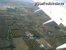 [P04] Livezile de portocali, lamai si maslini vazute din avion. » foto by F 1304
 - 
<span class="allrVoted glyphicon glyphicon-heart hidden" id="av145882"></span>
<a class="m-l-10 hidden" id="sv145882" onclick="voting_Foto_DelVot(,145882,7651)" role="button">șterge vot <span class="glyphicon glyphicon-remove"></span></a>
<a id="v9145882" class=" c-red"  onclick="voting_Foto_SetVot(145882)" role="button"><span class="glyphicon glyphicon-heart-empty"></span> <b>LIKE</b> = Votează poza</a> <img class="hidden"  id="f145882W9" src="/imagini/loader.gif" border="0" /><span class="AjErrMes hidden" id="e145882ErM"></span>