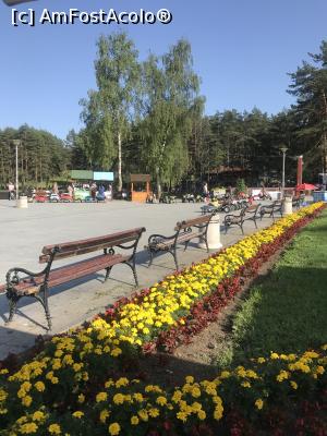 [P03] Zlatibor » foto by krisstinna
 - 
<span class="allrVoted glyphicon glyphicon-heart hidden" id="av1090027"></span>
<a class="m-l-10 hidden" id="sv1090027" onclick="voting_Foto_DelVot(,1090027,7661)" role="button">șterge vot <span class="glyphicon glyphicon-remove"></span></a>
<a id="v91090027" class=" c-red"  onclick="voting_Foto_SetVot(1090027)" role="button"><span class="glyphicon glyphicon-heart-empty"></span> <b>LIKE</b> = Votează poza</a> <img class="hidden"  id="f1090027W9" src="/imagini/loader.gif" border="0" /><span class="AjErrMes hidden" id="e1090027ErM"></span>