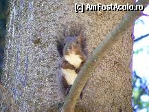 [P14] Si normal, e o profitoare, nu vine daca nu obtine ceva! » foto by kelyboy
 - 
<span class="allrVoted glyphicon glyphicon-heart hidden" id="av290004"></span>
<a class="m-l-10 hidden" id="sv290004" onclick="voting_Foto_DelVot(,290004,7664)" role="button">șterge vot <span class="glyphicon glyphicon-remove"></span></a>
<a id="v9290004" class=" c-red"  onclick="voting_Foto_SetVot(290004)" role="button"><span class="glyphicon glyphicon-heart-empty"></span> <b>LIKE</b> = Votează poza</a> <img class="hidden"  id="f290004W9" src="/imagini/loader.gif" border="0" /><span class="AjErrMes hidden" id="e290004ErM"></span>