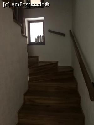 [P04] Scarile care duc spre etaj » foto by ancutza26
 - 
<span class="allrVoted glyphicon glyphicon-heart hidden" id="av1033301"></span>
<a class="m-l-10 hidden" id="sv1033301" onclick="voting_Foto_DelVot(,1033301,7688)" role="button">șterge vot <span class="glyphicon glyphicon-remove"></span></a>
<a id="v91033301" class=" c-red"  onclick="voting_Foto_SetVot(1033301)" role="button"><span class="glyphicon glyphicon-heart-empty"></span> <b>LIKE</b> = Votează poza</a> <img class="hidden"  id="f1033301W9" src="/imagini/loader.gif" border="0" /><span class="AjErrMes hidden" id="e1033301ErM"></span>