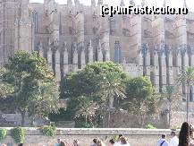 [P09] Catedrala din Palma! » foto by gaijinnnnn*
 - 
<span class="allrVoted glyphicon glyphicon-heart hidden" id="av149111"></span>
<a class="m-l-10 hidden" id="sv149111" onclick="voting_Foto_DelVot(,149111,7718)" role="button">șterge vot <span class="glyphicon glyphicon-remove"></span></a>
<a id="v9149111" class=" c-red"  onclick="voting_Foto_SetVot(149111)" role="button"><span class="glyphicon glyphicon-heart-empty"></span> <b>LIKE</b> = Votează poza</a> <img class="hidden"  id="f149111W9" src="/imagini/loader.gif" border="0" /><span class="AjErrMes hidden" id="e149111ErM"></span>