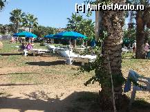 [P31] Ayia Napa,locul unde te poti relaxa sub palmieri » foto by georgiana
 - 
<span class="allrVoted glyphicon glyphicon-heart hidden" id="av278778"></span>
<a class="m-l-10 hidden" id="sv278778" onclick="voting_Foto_DelVot(,278778,7721)" role="button">șterge vot <span class="glyphicon glyphicon-remove"></span></a>
<a id="v9278778" class=" c-red"  onclick="voting_Foto_SetVot(278778)" role="button"><span class="glyphicon glyphicon-heart-empty"></span> <b>LIKE</b> = Votează poza</a> <img class="hidden"  id="f278778W9" src="/imagini/loader.gif" border="0" /><span class="AjErrMes hidden" id="e278778ErM"></span>