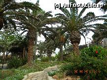 [P22] gradina hotelului Nissi Beach Resort, plina de culoare si curatenie » foto by nicoletass
 - 
<span class="allrVoted glyphicon glyphicon-heart hidden" id="av300415"></span>
<a class="m-l-10 hidden" id="sv300415" onclick="voting_Foto_DelVot(,300415,7721)" role="button">șterge vot <span class="glyphicon glyphicon-remove"></span></a>
<a id="v9300415" class=" c-red"  onclick="voting_Foto_SetVot(300415)" role="button"><span class="glyphicon glyphicon-heart-empty"></span> <b>LIKE</b> = Votează poza</a> <img class="hidden"  id="f300415W9" src="/imagini/loader.gif" border="0" /><span class="AjErrMes hidden" id="e300415ErM"></span>