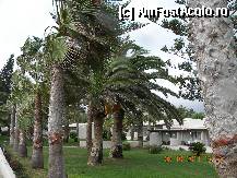 [P23] aceste bungalow-uri au o priveliste de vis: plaja si marea » foto by nicoletass
 - 
<span class="allrVoted glyphicon glyphicon-heart hidden" id="av300416"></span>
<a class="m-l-10 hidden" id="sv300416" onclick="voting_Foto_DelVot(,300416,7721)" role="button">șterge vot <span class="glyphicon glyphicon-remove"></span></a>
<a id="v9300416" class=" c-red"  onclick="voting_Foto_SetVot(300416)" role="button"><span class="glyphicon glyphicon-heart-empty"></span> <b>LIKE</b> = Votează poza</a> <img class="hidden"  id="f300416W9" src="/imagini/loader.gif" border="0" /><span class="AjErrMes hidden" id="e300416ErM"></span>