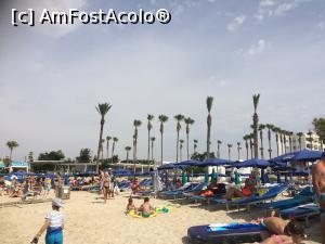 [P08] Vathia Gonia Beach » foto by ElenaP
 - 
<span class="allrVoted glyphicon glyphicon-heart hidden" id="av975683"></span>
<a class="m-l-10 hidden" id="sv975683" onclick="voting_Foto_DelVot(,975683,7721)" role="button">șterge vot <span class="glyphicon glyphicon-remove"></span></a>
<a id="v9975683" class=" c-red"  onclick="voting_Foto_SetVot(975683)" role="button"><span class="glyphicon glyphicon-heart-empty"></span> <b>LIKE</b> = Votează poza</a> <img class="hidden"  id="f975683W9" src="/imagini/loader.gif" border="0" /><span class="AjErrMes hidden" id="e975683ErM"></span>