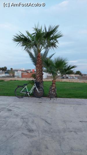 [P65] Promenada Ayia Napa » foto by Carmen Ion
 - 
<span class="allrVoted glyphicon glyphicon-heart hidden" id="av1396304"></span>
<a class="m-l-10 hidden" id="sv1396304" onclick="voting_Foto_DelVot(,1396304,7721)" role="button">șterge vot <span class="glyphicon glyphicon-remove"></span></a>
<a id="v91396304" class=" c-red"  onclick="voting_Foto_SetVot(1396304)" role="button"><span class="glyphicon glyphicon-heart-empty"></span> <b>LIKE</b> = Votează poza</a> <img class="hidden"  id="f1396304W9" src="/imagini/loader.gif" border="0" /><span class="AjErrMes hidden" id="e1396304ErM"></span>