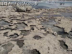 [P11] Partea stancoasa, arata ca un schweitzer gigantic, doreste cineva sa guste din el?  » foto by dorgo
 - 
<span class="allrVoted glyphicon glyphicon-heart hidden" id="av849316"></span>
<a class="m-l-10 hidden" id="sv849316" onclick="voting_Foto_DelVot(,849316,7721)" role="button">șterge vot <span class="glyphicon glyphicon-remove"></span></a>
<a id="v9849316" class=" c-red"  onclick="voting_Foto_SetVot(849316)" role="button"><span class="glyphicon glyphicon-heart-empty"></span> <b>LIKE</b> = Votează poza</a> <img class="hidden"  id="f849316W9" src="/imagini/loader.gif" border="0" /><span class="AjErrMes hidden" id="e849316ErM"></span>