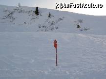 [P40]  -- <small>// FĂRĂ DESCRIERE</small> » foto by IonutVLad*
 - 
<span class="allrVoted glyphicon glyphicon-heart hidden" id="av149337"></span>
<a class="m-l-10 hidden" id="sv149337" onclick="voting_Foto_DelVot(,149337,7722)" role="button">șterge vot <span class="glyphicon glyphicon-remove"></span></a>
<a id="v9149337" class=" c-red"  onclick="voting_Foto_SetVot(149337)" role="button"><span class="glyphicon glyphicon-heart-empty"></span> <b>LIKE</b> = Votează poza</a> <img class="hidden"  id="f149337W9" src="/imagini/loader.gif" border="0" /><span class="AjErrMes hidden" id="e149337ErM"></span>
