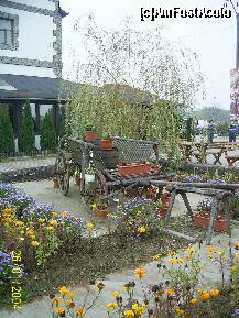 [P05] curtea hotelului » foto by petrus95
 - 
<span class="allrVoted glyphicon glyphicon-heart hidden" id="av150145"></span>
<a class="m-l-10 hidden" id="sv150145" onclick="voting_Foto_DelVot(,150145,7751)" role="button">șterge vot <span class="glyphicon glyphicon-remove"></span></a>
<a id="v9150145" class=" c-red"  onclick="voting_Foto_SetVot(150145)" role="button"><span class="glyphicon glyphicon-heart-empty"></span> <b>LIKE</b> = Votează poza</a> <img class="hidden"  id="f150145W9" src="/imagini/loader.gif" border="0" /><span class="AjErrMes hidden" id="e150145ErM"></span>