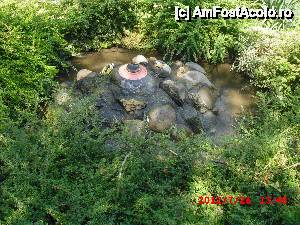 [P05]  -- <small>// FĂRĂ DESCRIERE</small> » foto by mateut
 - 
<span class="allrVoted glyphicon glyphicon-heart hidden" id="av514719"></span>
<a class="m-l-10 hidden" id="sv514719" onclick="voting_Foto_DelVot(,514719,7754)" role="button">șterge vot <span class="glyphicon glyphicon-remove"></span></a>
<a id="v9514719" class=" c-red"  onclick="voting_Foto_SetVot(514719)" role="button"><span class="glyphicon glyphicon-heart-empty"></span> <b>LIKE</b> = Votează poza</a> <img class="hidden"  id="f514719W9" src="/imagini/loader.gif" border="0" /><span class="AjErrMes hidden" id="e514719ErM"></span>