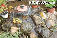 [P12] Iesirea apei din furtun si doi serpisori ce se incalzesc la soare. » foto by haiduc
 - 
<span class="allrVoted glyphicon glyphicon-heart hidden" id="av149080"></span>
<a class="m-l-10 hidden" id="sv149080" onclick="voting_Foto_DelVot(,149080,7754)" role="button">șterge vot <span class="glyphicon glyphicon-remove"></span></a>
<a id="v9149080" class=" c-red"  onclick="voting_Foto_SetVot(149080)" role="button"><span class="glyphicon glyphicon-heart-empty"></span> <b>LIKE</b> = Votează poza</a> <img class="hidden"  id="f149080W9" src="/imagini/loader.gif" border="0" /><span class="AjErrMes hidden" id="e149080ErM"></span>