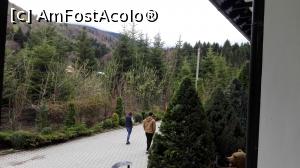 [P02]  -- <small>// FĂRĂ DESCRIERE</small> » foto by Gabipop
 - 
<span class="allrVoted glyphicon glyphicon-heart hidden" id="av1064955"></span>
<a class="m-l-10 hidden" id="sv1064955" onclick="voting_Foto_DelVot(,1064955,7758)" role="button">șterge vot <span class="glyphicon glyphicon-remove"></span></a>
<a id="v91064955" class=" c-red"  onclick="voting_Foto_SetVot(1064955)" role="button"><span class="glyphicon glyphicon-heart-empty"></span> <b>LIKE</b> = Votează poza</a> <img class="hidden"  id="f1064955W9" src="/imagini/loader.gif" border="0" /><span class="AjErrMes hidden" id="e1064955ErM"></span>