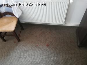 [P04]  -- <small>// FĂRĂ DESCRIERE</small> » foto by Aurel G
 - 
<span class="allrVoted glyphicon glyphicon-heart hidden" id="av1085004"></span>
<a class="m-l-10 hidden" id="sv1085004" onclick="voting_Foto_DelVot(,1085004,7758)" role="button">șterge vot <span class="glyphicon glyphicon-remove"></span></a>
<a id="v91085004" class=" c-red"  onclick="voting_Foto_SetVot(1085004)" role="button"><span class="glyphicon glyphicon-heart-empty"></span> <b>LIKE</b> = Votează poza</a> <img class="hidden"  id="f1085004W9" src="/imagini/loader.gif" border="0" /><span class="AjErrMes hidden" id="e1085004ErM"></span>