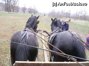 [P02]  -- <small>// FĂRĂ DESCRIERE</small> » foto by ClaudiuSb
 - 
<span class="allrVoted glyphicon glyphicon-heart hidden" id="av461611"></span>
<a class="m-l-10 hidden" id="sv461611" onclick="voting_Foto_DelVot(,461611,7758)" role="button">șterge vot <span class="glyphicon glyphicon-remove"></span></a>
<a id="v9461611" class=" c-red"  onclick="voting_Foto_SetVot(461611)" role="button"><span class="glyphicon glyphicon-heart-empty"></span> <b>LIKE</b> = Votează poza</a> <img class="hidden"  id="f461611W9" src="/imagini/loader.gif" border="0" /><span class="AjErrMes hidden" id="e461611ErM"></span>