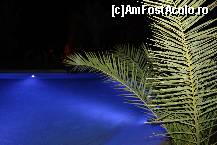 [P08]  -- <small>// FĂRĂ DESCRIERE</small> » foto by loryuid
 - 
<span class="allrVoted glyphicon glyphicon-heart hidden" id="av242143"></span>
<a class="m-l-10 hidden" id="sv242143" onclick="voting_Foto_DelVot(,242143,7762)" role="button">șterge vot <span class="glyphicon glyphicon-remove"></span></a>
<a id="v9242143" class=" c-red"  onclick="voting_Foto_SetVot(242143)" role="button"><span class="glyphicon glyphicon-heart-empty"></span> <b>LIKE</b> = Votează poza</a> <img class="hidden"  id="f242143W9" src="/imagini/loader.gif" border="0" /><span class="AjErrMes hidden" id="e242143ErM"></span>