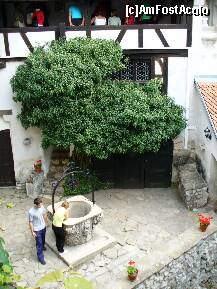 [P19] Castelul Bran - fantana din curtea castelului, in care toata lumea arunca un banut si isi punea o dorinta » foto by ascent
 - 
<span class="allrVoted glyphicon glyphicon-heart hidden" id="av150676"></span>
<a class="m-l-10 hidden" id="sv150676" onclick="voting_Foto_DelVot(,150676,7766)" role="button">șterge vot <span class="glyphicon glyphicon-remove"></span></a>
<a id="v9150676" class=" c-red"  onclick="voting_Foto_SetVot(150676)" role="button"><span class="glyphicon glyphicon-heart-empty"></span> <b>LIKE</b> = Votează poza</a> <img class="hidden"  id="f150676W9" src="/imagini/loader.gif" border="0" /><span class="AjErrMes hidden" id="e150676ErM"></span>