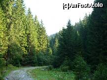 [P06] Moieciu de Sus - plimbare printr-o natura virgina  in Parcul National Bucegi » foto by ascent
 - 
<span class="allrVoted glyphicon glyphicon-heart hidden" id="av150653"></span>
<a class="m-l-10 hidden" id="sv150653" onclick="voting_Foto_DelVot(,150653,7766)" role="button">șterge vot <span class="glyphicon glyphicon-remove"></span></a>
<a id="v9150653" class=" c-red"  onclick="voting_Foto_SetVot(150653)" role="button"><span class="glyphicon glyphicon-heart-empty"></span> <b>LIKE</b> = Votează poza</a> <img class="hidden"  id="f150653W9" src="/imagini/loader.gif" border="0" /><span class="AjErrMes hidden" id="e150653ErM"></span>