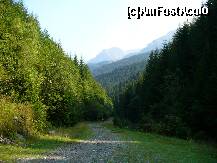 [P08] Moieciu de Sus - plimbare prin Parcul National Bucegi, valea raului Bangaleasa » foto by ascent
 - 
<span class="allrVoted glyphicon glyphicon-heart hidden" id="av150656"></span>
<a class="m-l-10 hidden" id="sv150656" onclick="voting_Foto_DelVot(,150656,7766)" role="button">șterge vot <span class="glyphicon glyphicon-remove"></span></a>
<a id="v9150656" class=" c-red"  onclick="voting_Foto_SetVot(150656)" role="button"><span class="glyphicon glyphicon-heart-empty"></span> <b>LIKE</b> = Votează poza</a> <img class="hidden"  id="f150656W9" src="/imagini/loader.gif" border="0" /><span class="AjErrMes hidden" id="e150656ErM"></span>