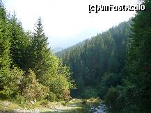 [P09] Moieciu de Sus - valea raului Bangaleasa, Parcul National Bucegi » foto by ascent
 - 
<span class="allrVoted glyphicon glyphicon-heart hidden" id="av150657"></span>
<a class="m-l-10 hidden" id="sv150657" onclick="voting_Foto_DelVot(,150657,7766)" role="button">șterge vot <span class="glyphicon glyphicon-remove"></span></a>
<a id="v9150657" class=" c-red"  onclick="voting_Foto_SetVot(150657)" role="button"><span class="glyphicon glyphicon-heart-empty"></span> <b>LIKE</b> = Votează poza</a> <img class="hidden"  id="f150657W9" src="/imagini/loader.gif" border="0" /><span class="AjErrMes hidden" id="e150657ErM"></span>