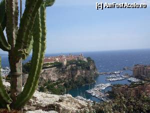 [P10] priveliste din gradina exotica » foto by f_anca
 - 
<span class="allrVoted glyphicon glyphicon-heart hidden" id="av375717"></span>
<a class="m-l-10 hidden" id="sv375717" onclick="voting_Foto_DelVot(,375717,7768)" role="button">șterge vot <span class="glyphicon glyphicon-remove"></span></a>
<a id="v9375717" class=" c-red"  onclick="voting_Foto_SetVot(375717)" role="button"><span class="glyphicon glyphicon-heart-empty"></span> <b>LIKE</b> = Votează poza</a> <img class="hidden"  id="f375717W9" src="/imagini/loader.gif" border="0" /><span class="AjErrMes hidden" id="e375717ErM"></span>